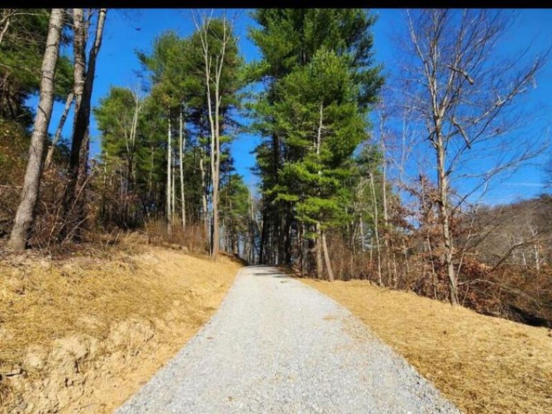 0 Blue Creek Road , South Bloomingville, OH 43152 Photo 12