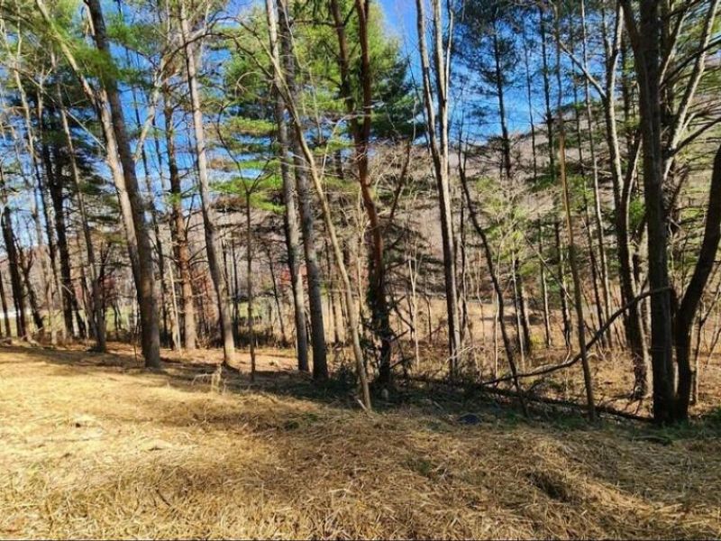 0 Blue Creek Road , South Bloomingville, OH 43152 Photo 13
