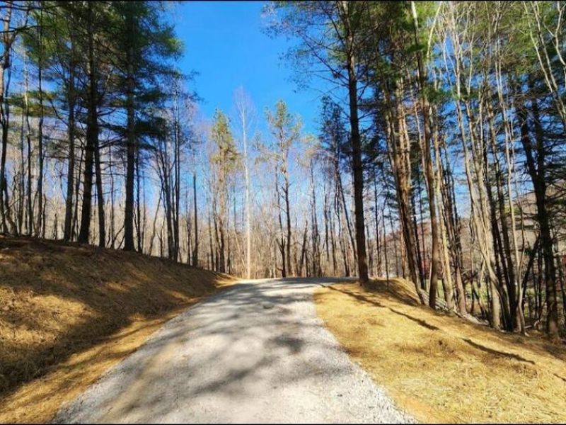 0 Blue Creek Road , South Bloomingville, OH 43152 Photo 15