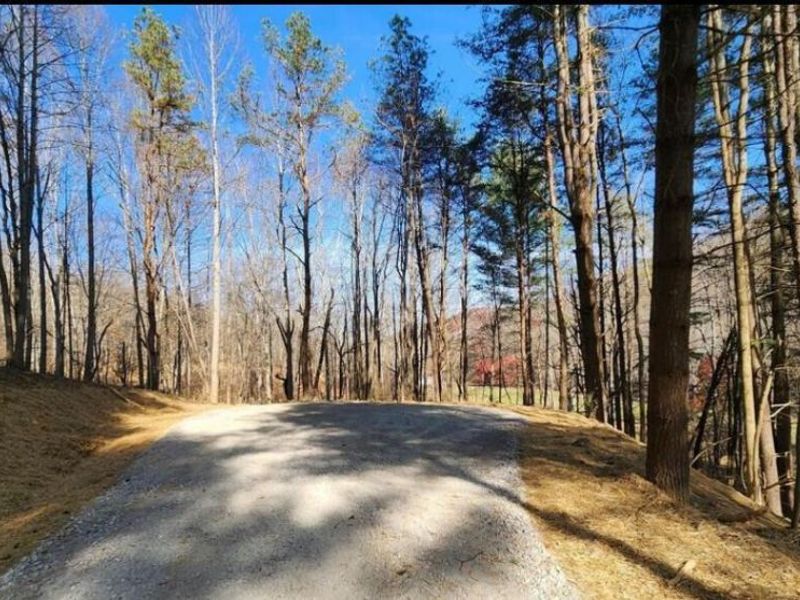 0 Blue Creek Road , South Bloomingville, OH 43152 Photo 16
