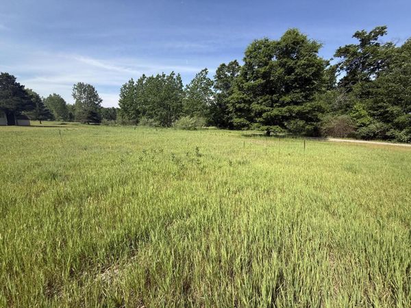 W Royal Road, Unit Lot D, Stanwood, MI 49346