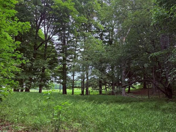 11 Kadi Lane, Lake Ann, MI 49650