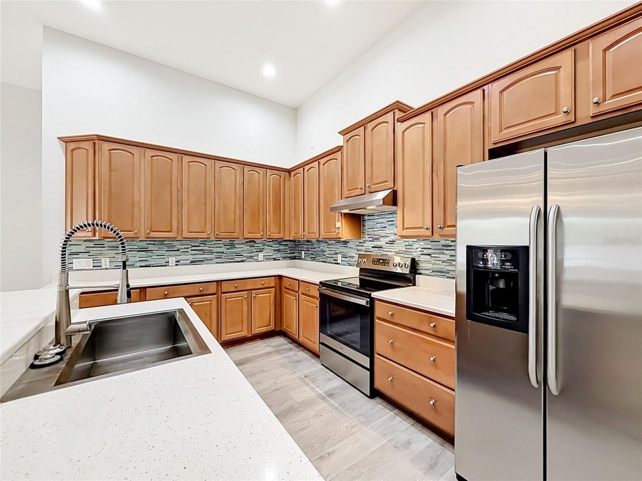 2432 Emerald Rose Way, Apopka, FL 32712 Photo