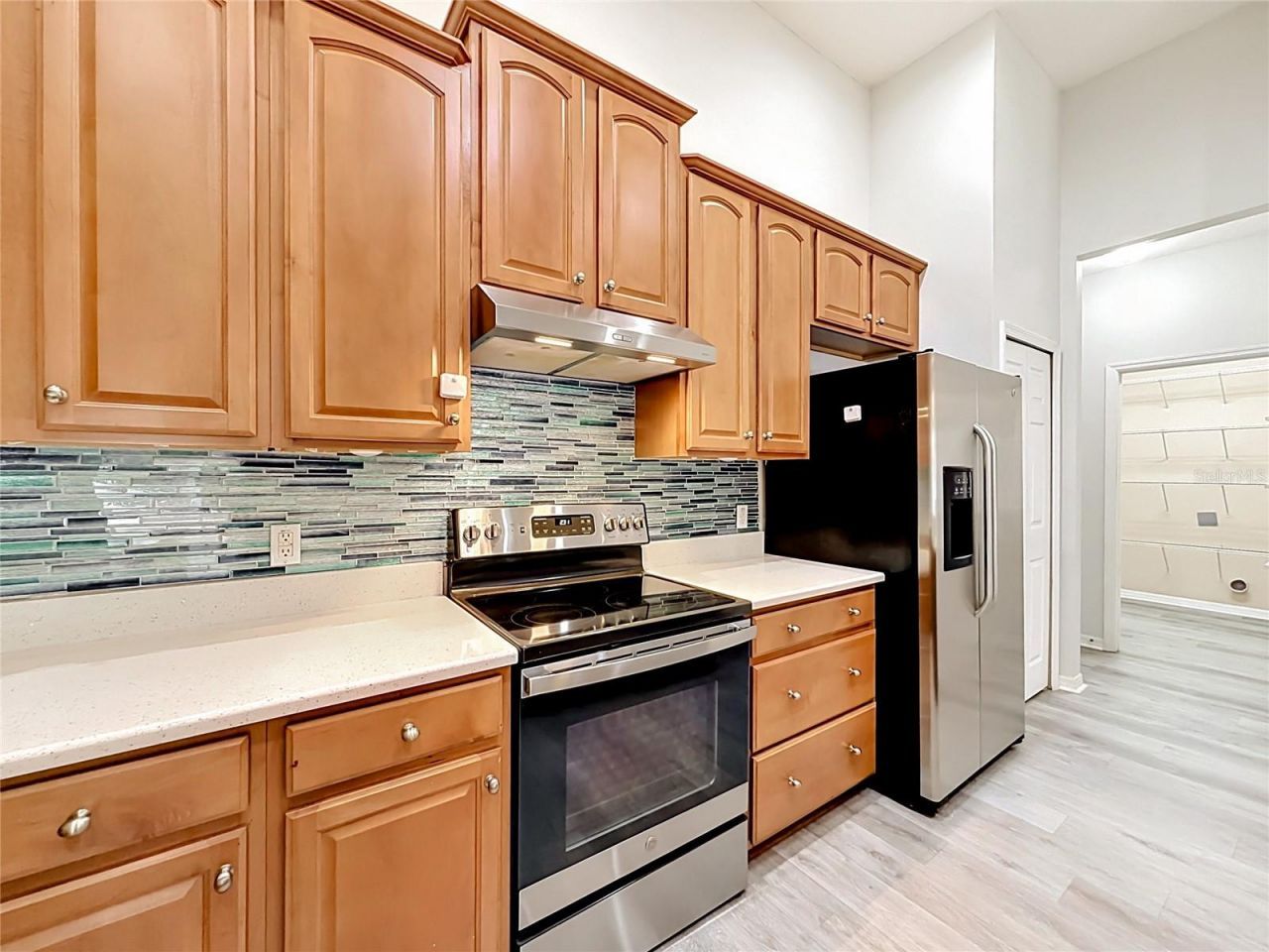 2432 Emerald Rose Way, Apopka, FL 32712 Photo