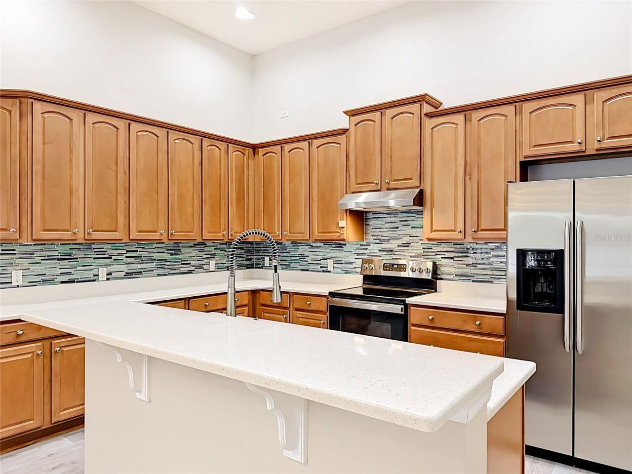 2432 Emerald Rose Way, Apopka, FL 32712 Photo