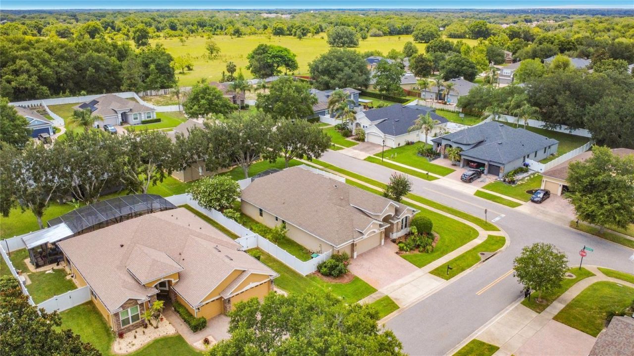 2432 Emerald Rose Way, Apopka, FL 32712 Photo