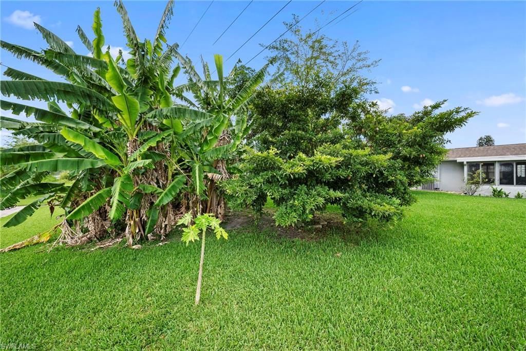 803 Monet St , Lehigh Acres, FL 33936 Photo