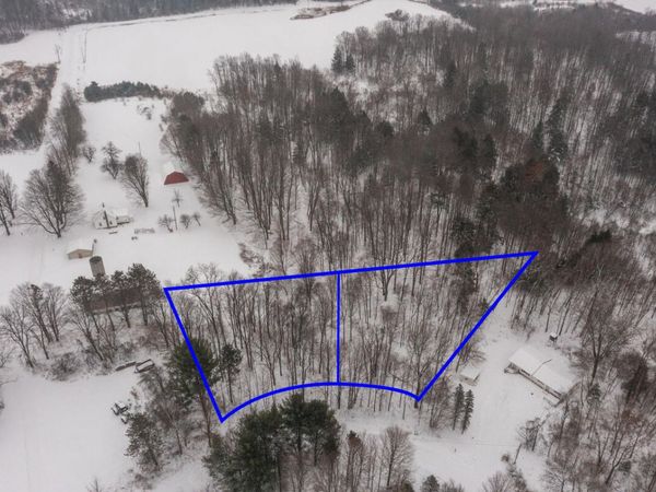 23086 Huron Trail, Evart, MI 49631