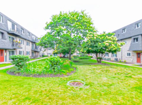 Main Photo