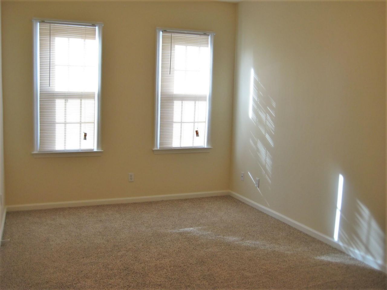 126 Ashton Drive Photo 12