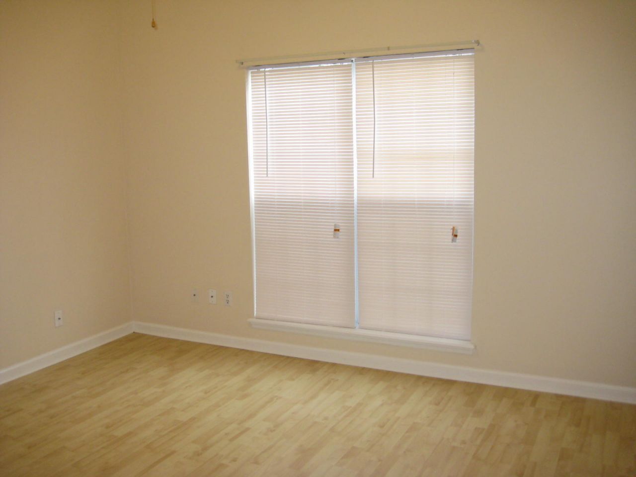 126 Ashton Drive Photo 6