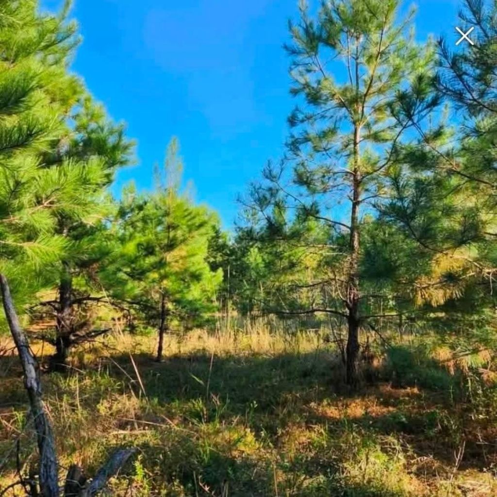 2550 Highway 746  Photo 4