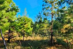 2550 Highway 746  photo 4