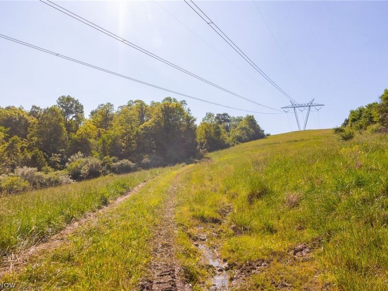12680 Old Riley Road, Unit 3, Frazeysburg, OH 43822 Photo 1