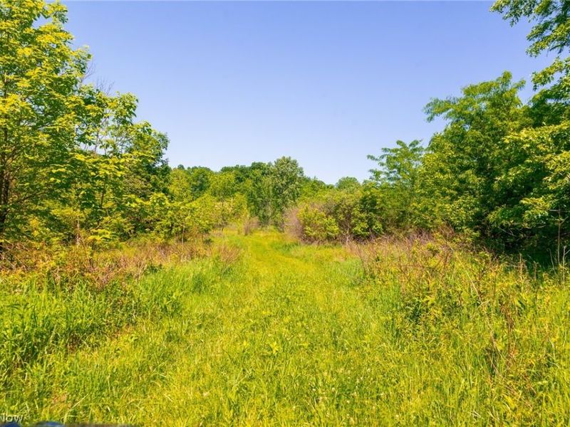 12680 Old Riley Road, Unit 3, Frazeysburg, OH 43822 Photo 16