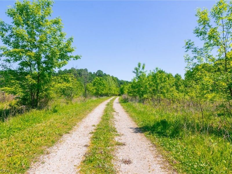 12680 Old Riley Road, Unit 3, Frazeysburg, OH 43822 Photo 19