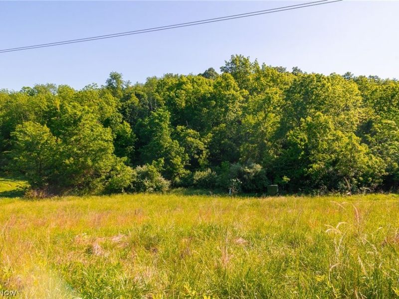 12680 Old Riley Road, Unit 3, Frazeysburg, OH 43822 Photo 3