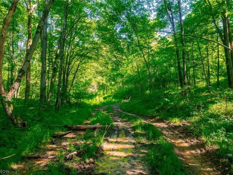 12680 Old Riley Road, Unit 3, Frazeysburg, OH 43822 Photo 7