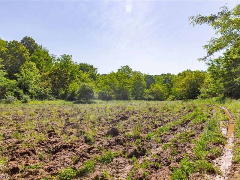 5568 Schoolhouse Road, Unit 6, Frazeysburg, OH 43822 Photo 15