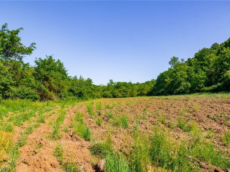 5568 Schoolhouse Road, Unit 6, Frazeysburg, OH 43822 Photo 16