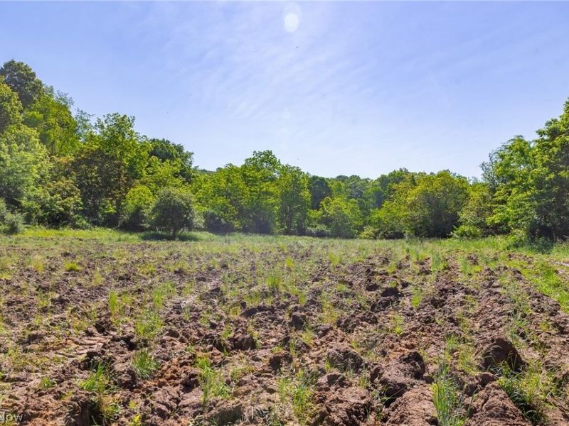 5568 Schoolhouse Road, Unit 6, Frazeysburg, OH 43822 Photo 17