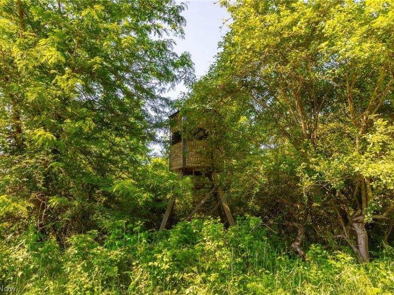 5568 Schoolhouse Road, Unit 6, Frazeysburg, OH 43822 Photo 18