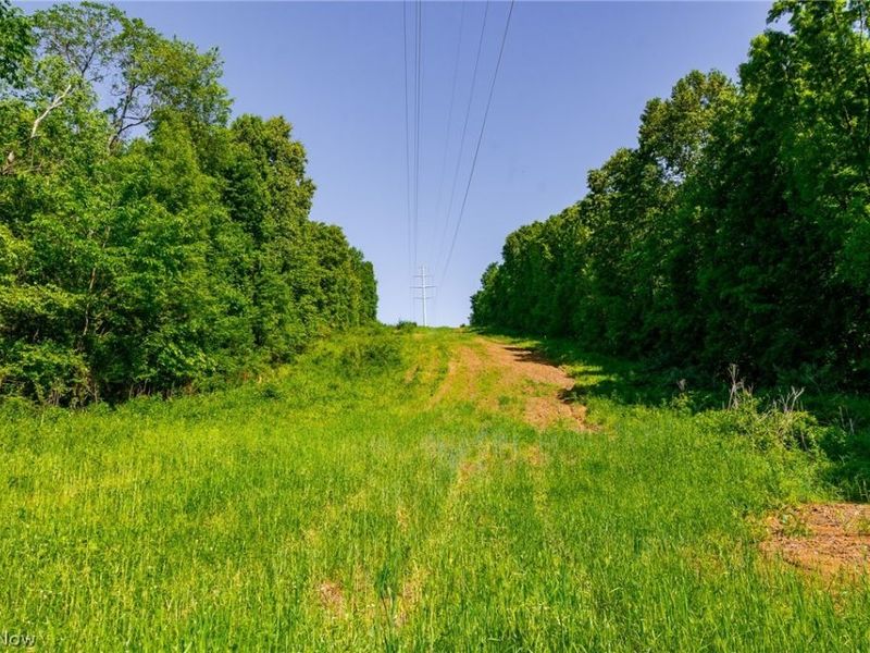 5568 Schoolhouse Road, Unit 6, Frazeysburg, OH 43822 Photo 20