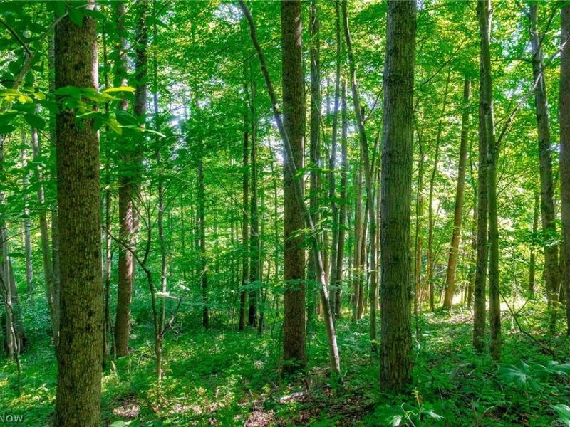 5568 Schoolhouse Road, Unit 6, Frazeysburg, OH 43822 Photo 6