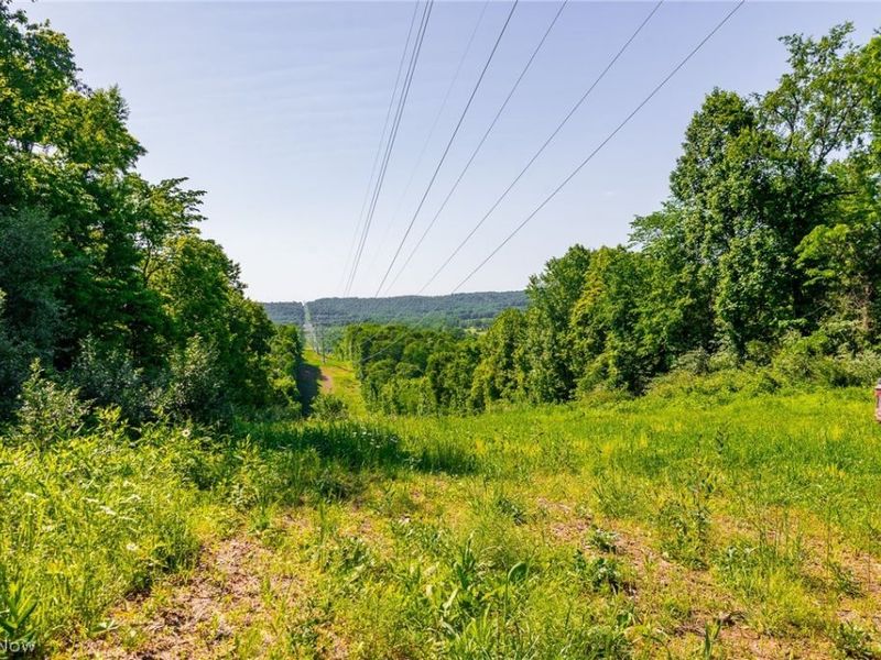 5568 Schoolhouse Road, Unit 7, Frazeysburg, OH 43822 Photo 3