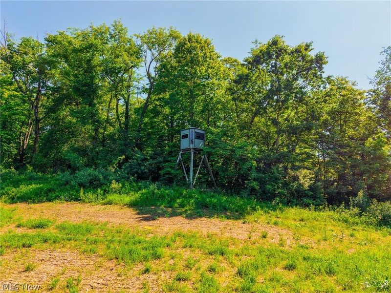 5568 Schoolhouse Road, Unit 7, Frazeysburg, OH 43822 Photo 39