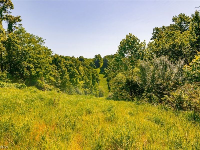 5568 Schoolhouse Road, Unit 7, Frazeysburg, OH 43822 Photo 5