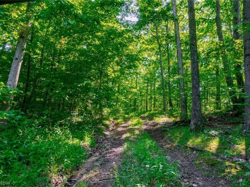 5568 Schoolhouse Road, Unit 7, Frazeysburg, OH 43822 Photo 7