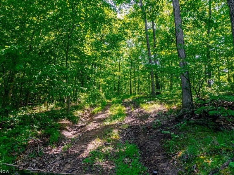 5568 Schoolhouse Road, Unit 7, Frazeysburg, OH 43822 Photo 8