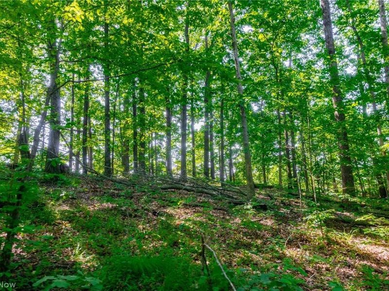 5568 Schoolhouse Road, Unit 7, Frazeysburg, OH 43822 Photo 9