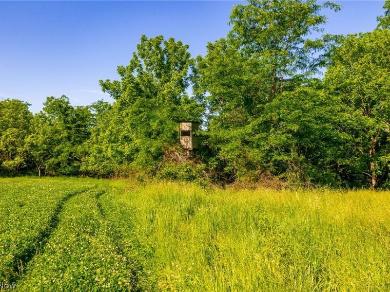 12680 Old Riley Road, Unit 5, Frazeysburg, OH 43822 Photo 11