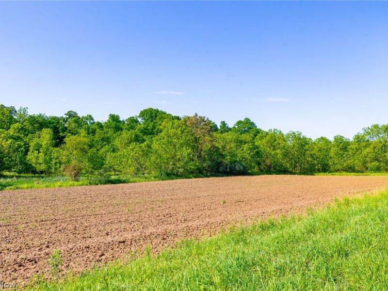 12680 Old Riley Road, Unit 5, Frazeysburg, OH 43822 Photo 12
