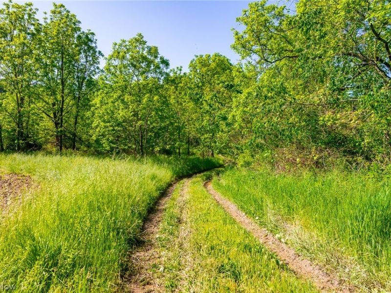 12680 Old Riley Road, Unit 5, Frazeysburg, OH 43822 Photo 12