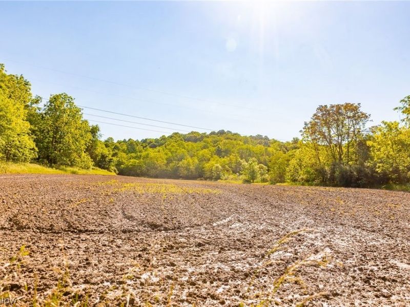 12680 Old Riley Road, Unit 5, Frazeysburg, OH 43822 Photo 14