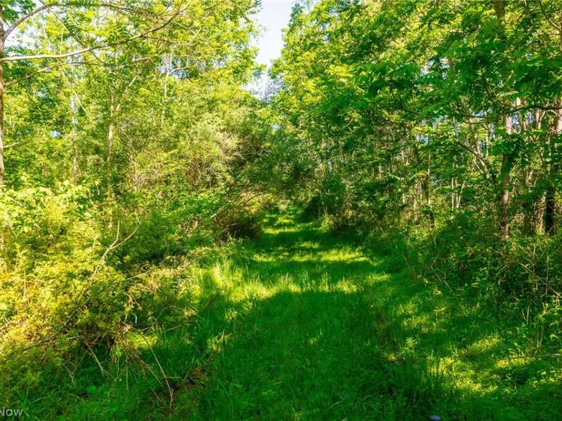 12680 Old Riley Road, Unit 5, Frazeysburg, OH 43822 Photo 14