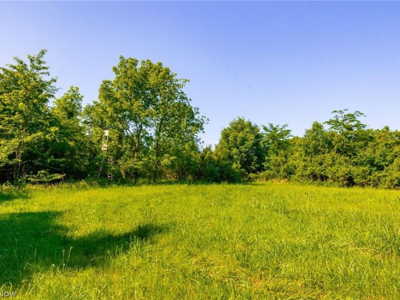 12680 Old Riley Road, Unit 5, Frazeysburg, OH 43822 Photo 17