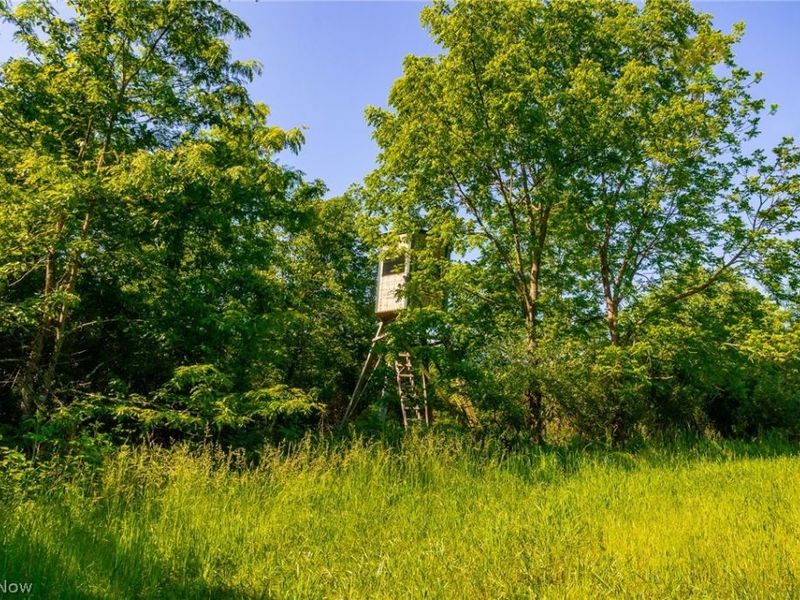 12680 Old Riley Road, Unit 5, Frazeysburg, OH 43822 Photo 17