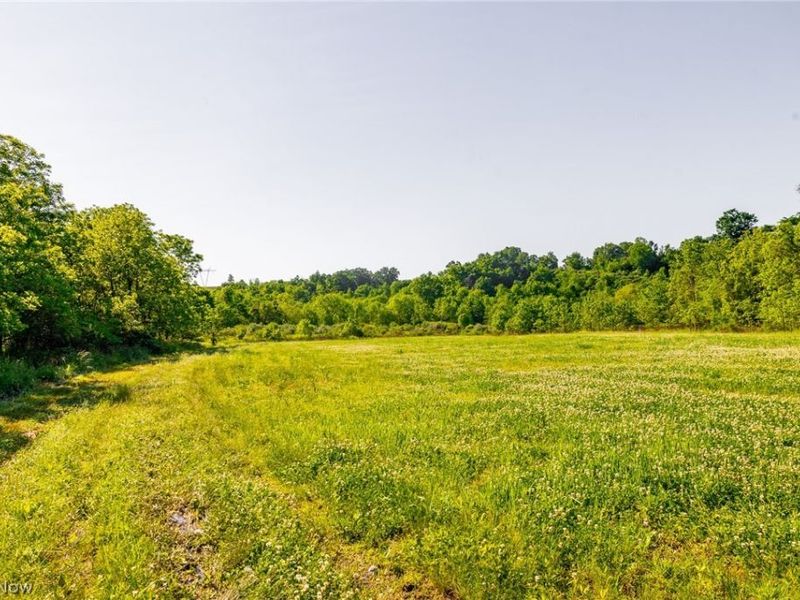 12680 Old Riley Road, Unit 5, Frazeysburg, OH 43822 Photo 2