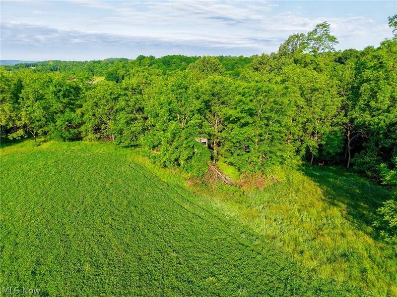 12680 Old Riley Road, Unit 5, Frazeysburg, OH 43822 Photo 29