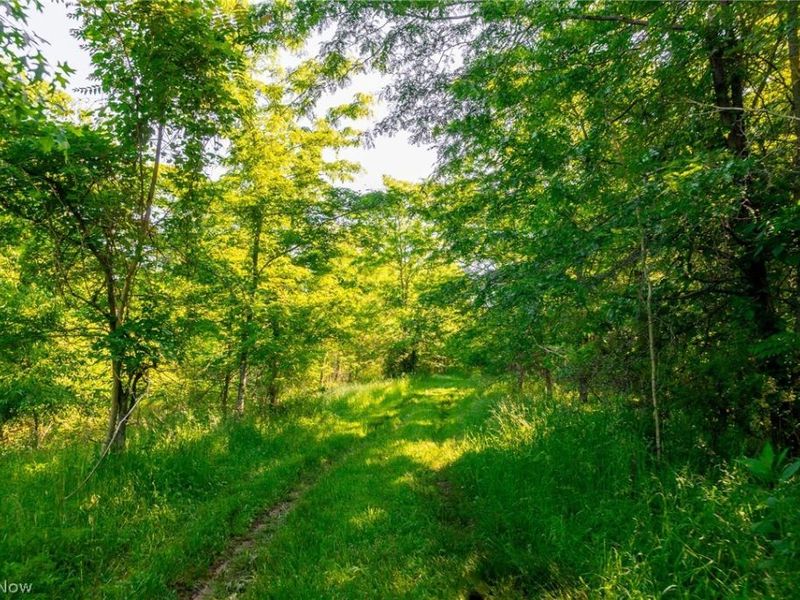 12680 Old Riley Road, Unit 5, Frazeysburg, OH 43822 Photo 3