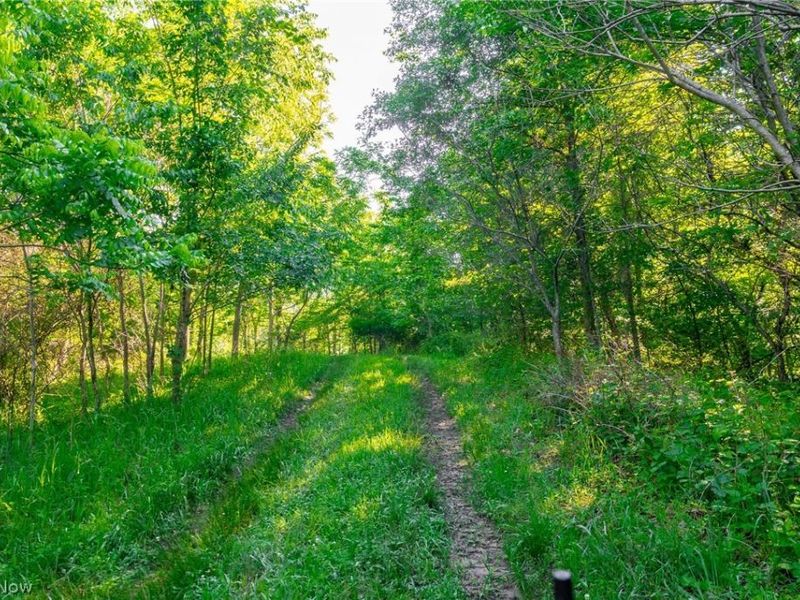 12680 Old Riley Road, Unit 5, Frazeysburg, OH 43822 Photo 4