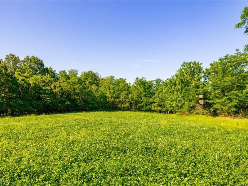 12680 Old Riley Road, Unit 5, Frazeysburg, OH 43822 Photo 6