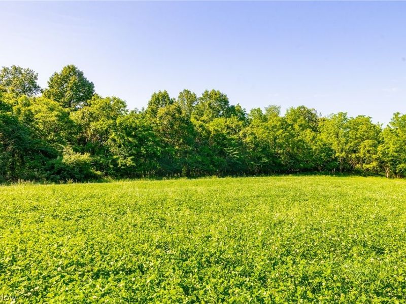 12680 Old Riley Road, Unit 5, Frazeysburg, OH 43822 Photo 6