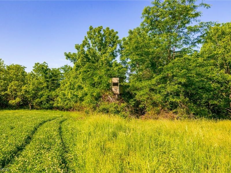 12680 Old Riley Road, Unit 5, Frazeysburg, OH 43822 Photo 8