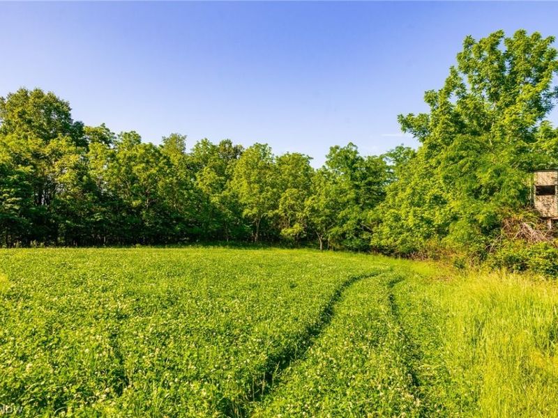 12680 Old Riley Road, Unit 5, Frazeysburg, OH 43822 Photo 8