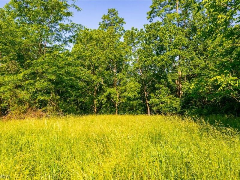 12680 Old Riley Road, Unit 5, Frazeysburg, OH 43822 Photo 9